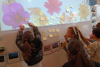 📚✨ Juste avant le début de la nouvelle année scolaire, nous nous souvenons... 