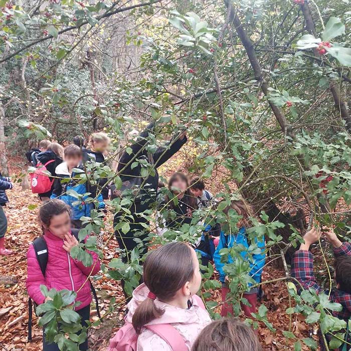 Notre excursion à Hortiatis -  Big Bang School!