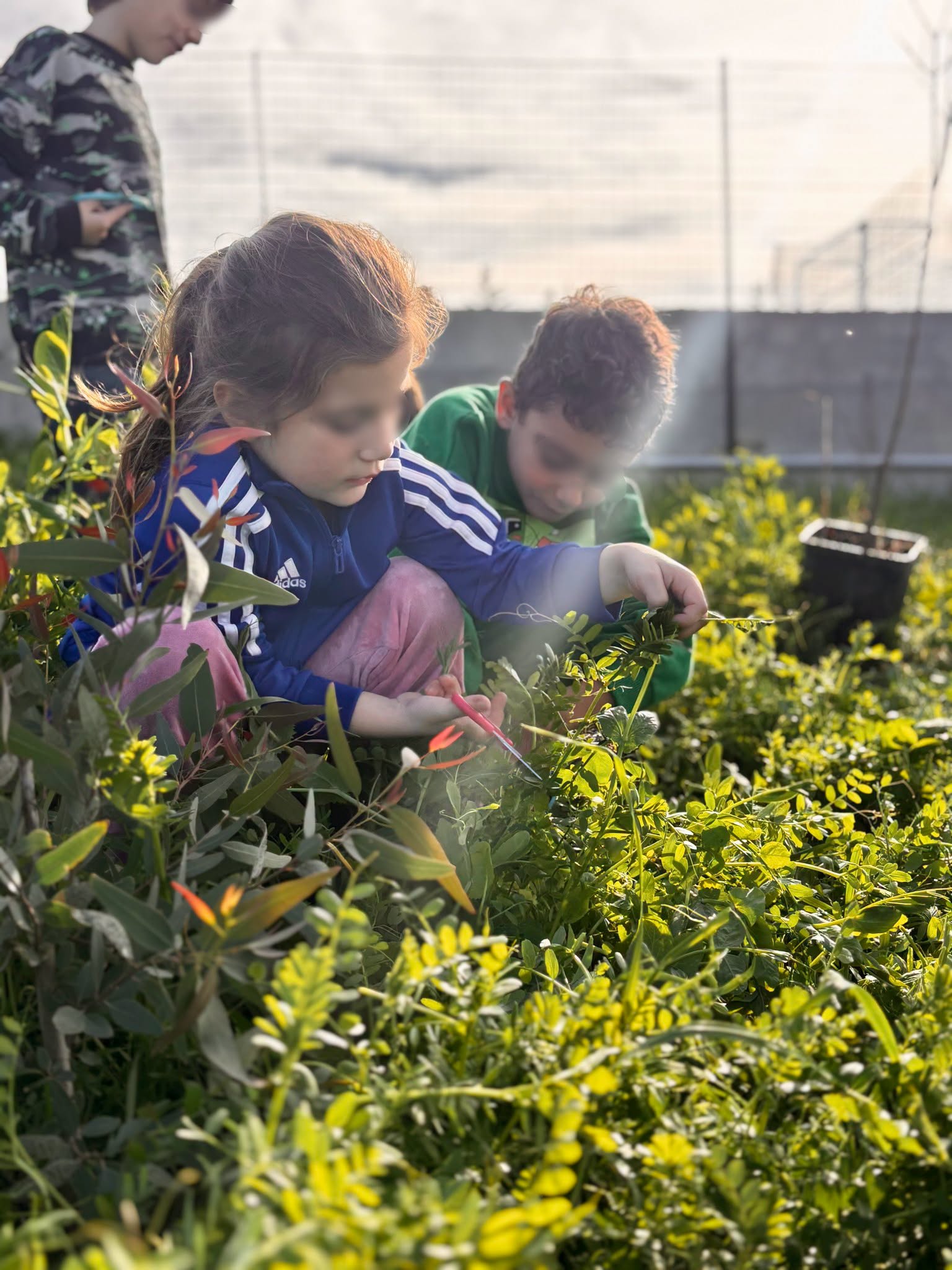 Μαθητές συμμετέχουν στη δημιουργία του Food Forest