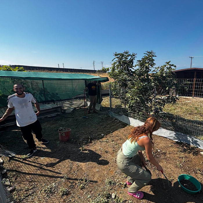 Teachers caring for the school garden