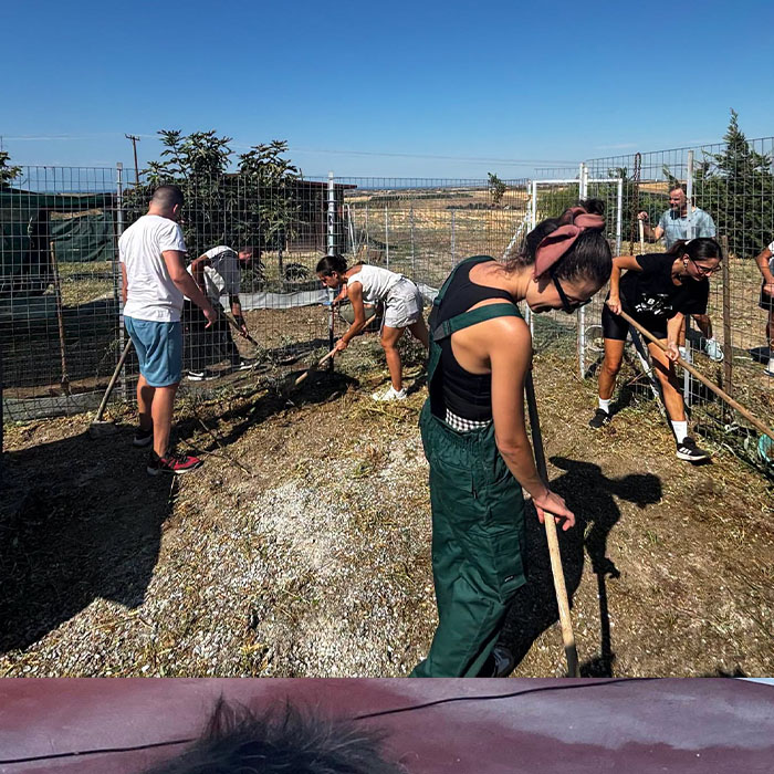 Weeding together in the Big Bang School garden