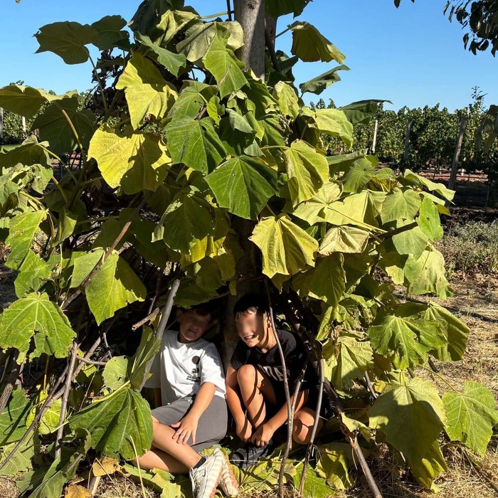 Des enfants explorent la nature dans l’enceinte de l’école