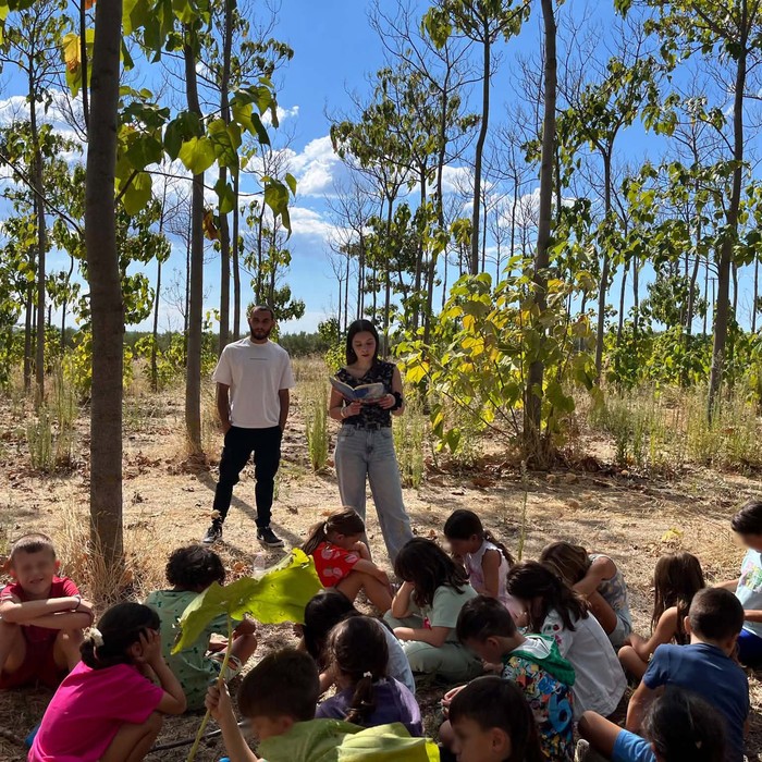 Des élèves et des enseignants échangent sous les arbres