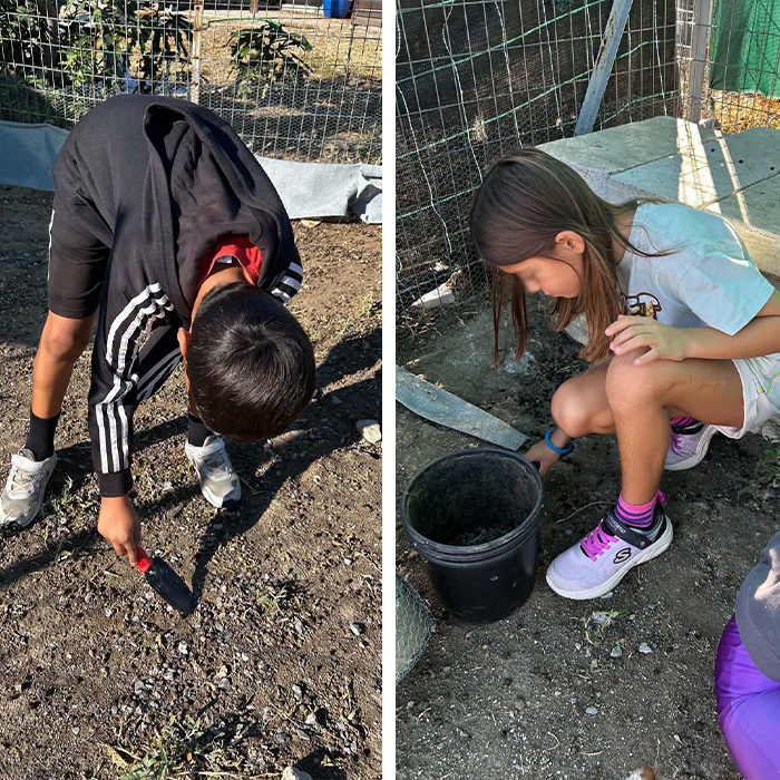 Des enfants travaillent la terre dans le jardin de l’école